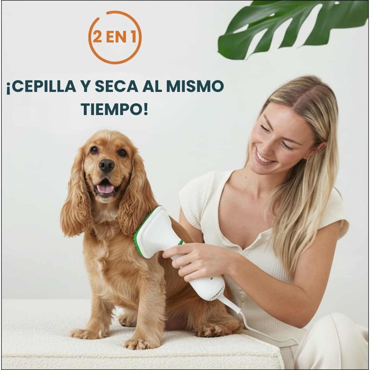PetDry - Cepillo y secador 2 en 1